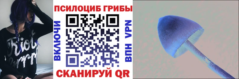Галлюциногенные грибы прущие грибы  Купить  Петропавловск-Камчатский 